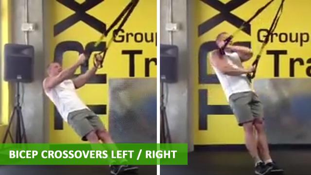 TRX Arm Exercises - Bicep Crossover Left/Right