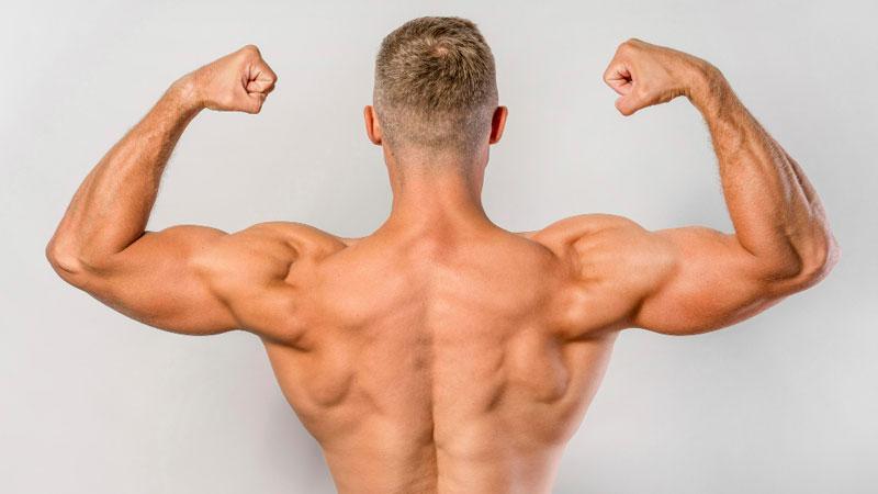 shoulder calisthenics workout