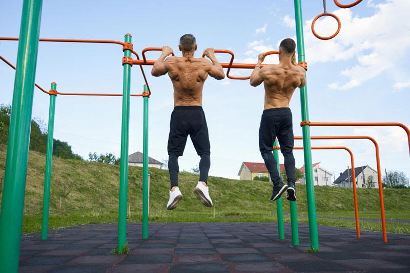 calisthenics exercises arms