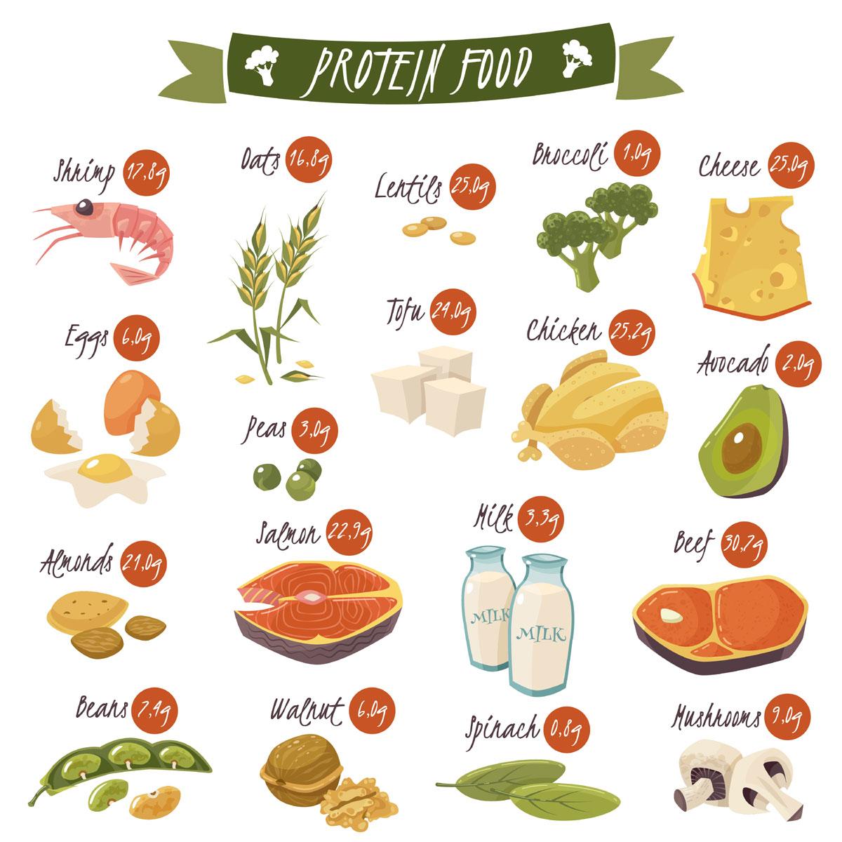 Infographic: What Foods Have the Highest Source of Protein