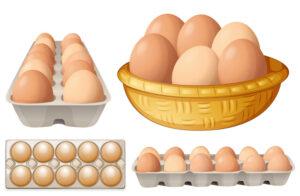 eggs - versatile protein package