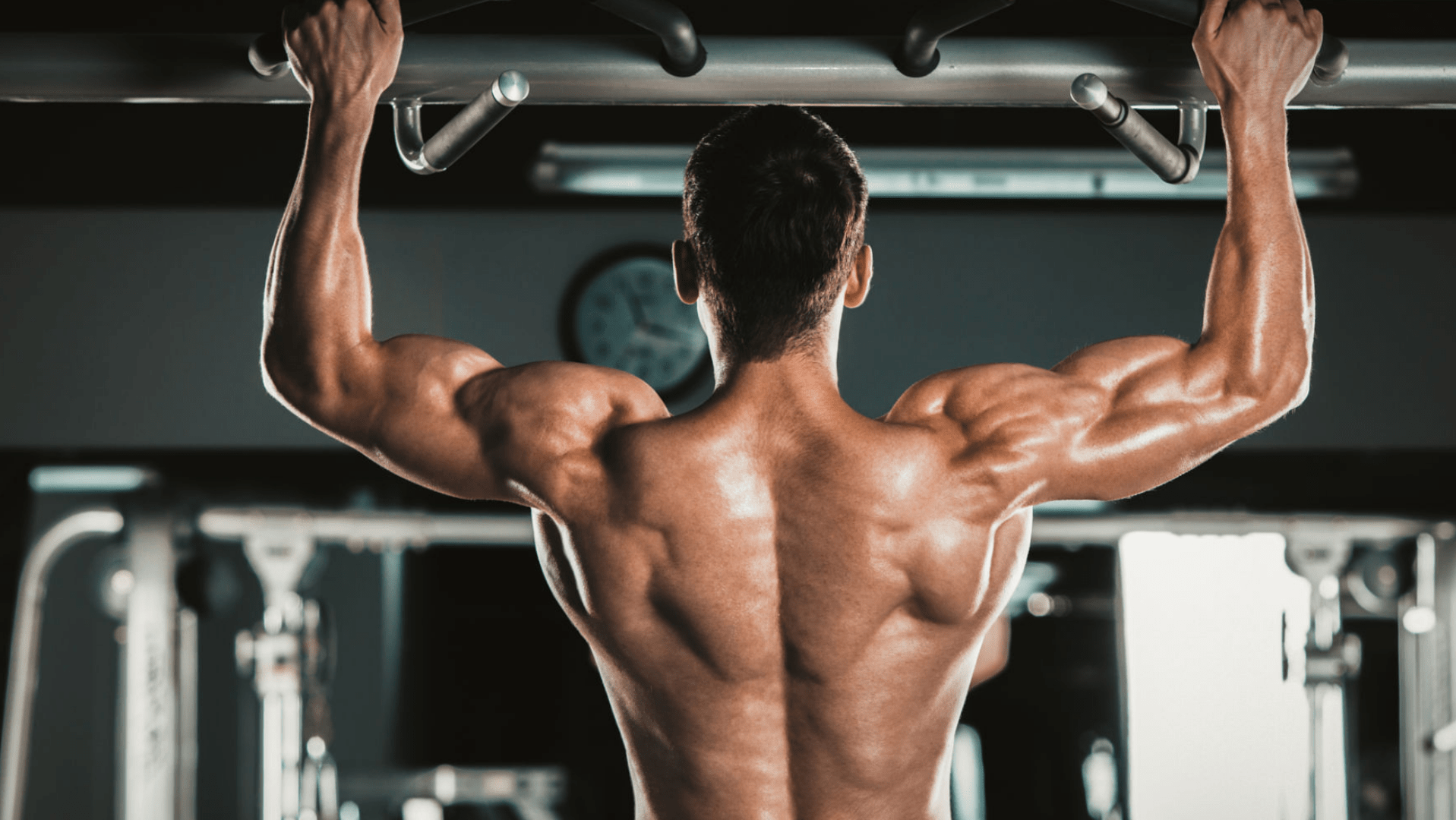 calisthenics exercise for back